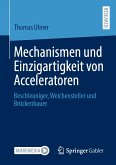 Mechanismen und Einzigartigkeit von Acceleratoren (eBook, PDF)