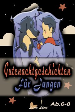 Gutenachtgeschichten für Jungen (eBook, ePUB) - Liom, Liom