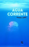 ÁGUA CORRENTE (eBook, ePUB)