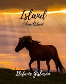 Island (eBook, ePUB)