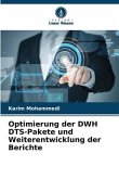 Optimierung der DWH DTS-Pakete und Weiterentwicklung der Berichte