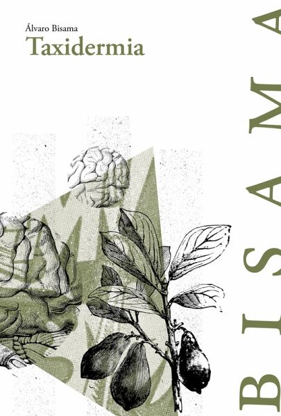 Taxidermia (eBook, ePUB)