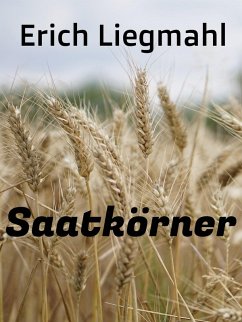 Saatkörner (eBook, ePUB)