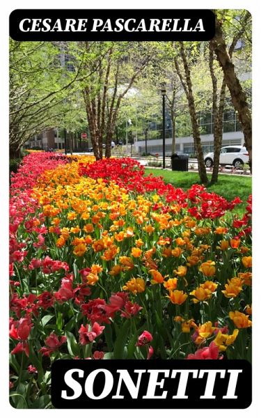 Sonetti (eBook, ePUB) Sonetti (eBook, ePUB)