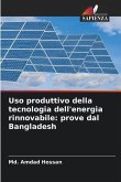 Uso produttivo della tecnologia dell'energia rinnovabile: prove dal Bangladesh