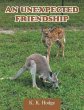 An Unexpected Friendship - Bild 1