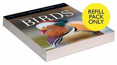 Audubon Birds Page-A-Day Gallery Calendar Refill Pack 2024 - Workman Calendars