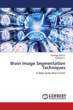 Brain Image Segmentation Techniques - S., Karthigai Selvi;T., Kalaiselvi