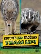 Coyotes and Badgers Team Up! - Bild 1