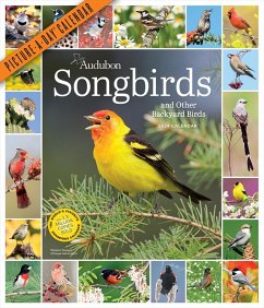 Audubon Songbirds and Other Backyard Birds Picture-A-Day Wall Calendar 2024 - Workman Calendars; National Audubon Society