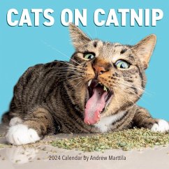 Cats on Catnip Wall Calendar 2024 - Marttila, Andrew; Workman Calendars