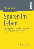 Spuren im Leben (eBook, PDF)