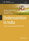 Undernutrition in India (eBook, PDF)