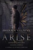 Hidden Villains (eBook, ePUB)