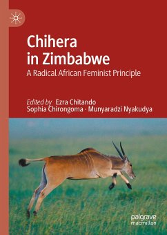 Chihera in Zimbabwe (eBook, PDF)