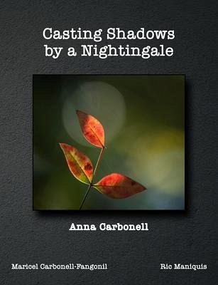 Casting Shadows by A Nightingale (eBook, ePUB) Casting Shadows by A Nightingale (eBook, ePUB)