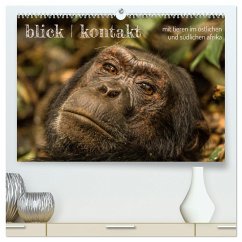 blick kontakt mit tieren im östlichen und südlichen afrika (hochwertiger Premium Wandkalender 2024 DIN A2 quer), Kunstdruck in Hochglanz - rsiemer
