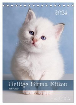 Heilige Birma Kittenkalender mit Planer (Tischkalender 2024 DIN A5 hoch), CALVENDO Monatskalender