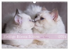 Heilige Birma Kitten mit Planer (Wandkalender 2024 DIN A3 quer), CALVENDO Monatskalender - Thoms, Michaela