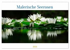Malerische Seerosen (Wandkalender 2024 DIN A2 quer), CALVENDO Monatskalender