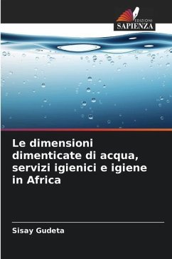 Le dimensioni dimenticate di acqua, servizi igienici e igiene in Africa - Gudeta, Sisay