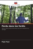 Perdu dans les forêts