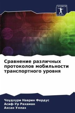 Cover Srawnenie razlichnyh protokolow mobil'nosti transportnogo urownq