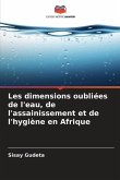 Les dimensions oubliées de l'eau, de l'assainissement et de l'hygiène en Afrique