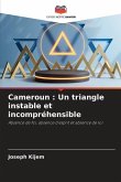 Cameroun : Un triangle instable et incompréhensible