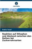 Reaktion auf Ethephon und Abstand zwischen den Reihen bei Zuckerrohrsorten