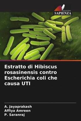 Estratto di Hibiscus rosasinensis contro Escherichia coli che causa UTI