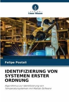 IDENTIFIZIERUNG VON SYSTEMEN ERSTER ORDNUNG - Postali, Felipe