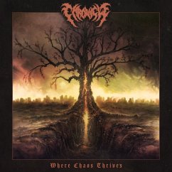 Cover Where Chaos Thrives