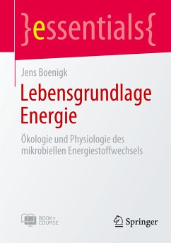 Lebensgrundlage Energie - Boenigk, Jens