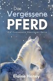 Das vergessene Pferd - Die Connemara Abenteuer-Serie (eBook, ePUB)