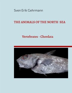 The Animals Of The North Sea 1 - Gehrmann, Sven Erik