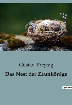 Das Nest der Zaunkönige - Freytag, Gustav