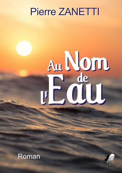 Au nom de l'eau (eBook, ePUB) - Zanetti, Pierre