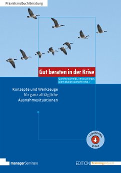 Gut beraten in der Krise (eBook, PDF)