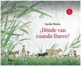 ¿Dónde van cuando llueve? ¿Dónde van cuando llueve?