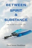 Between Spirit and Substance (eBook, ePUB)