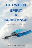 Between Spirit and Substance (eBook, ePUB) Between Spirit and Substance (eBook, ePUB)