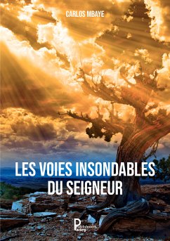 Les voies insondables du Seigneur (eBook, ePUB) - Mbaye, Carlos