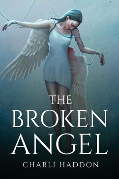 The broken angel - Charli Haddon