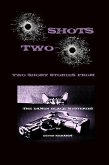 Two Shots: The Damon Black Mysteries (eBook, ePUB)