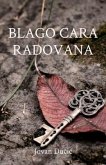 Blago cara Radovana (eBook, ePUB)