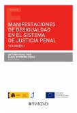 Manifestaciones de desigualdad en el sistema de justicia penal (eBook, ePUB)
