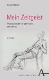 Mein Zeitgeist (eBook, PDF)