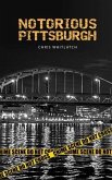 Notorious Pittsburgh (eBook, ePUB)