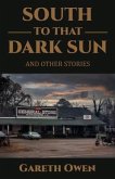 South To That Dark Sun (eBook, ePUB)